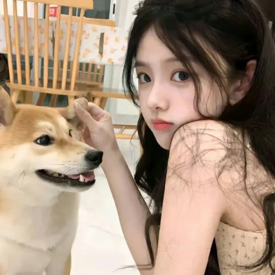 笨贼俗辣